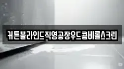 커튼블라인드직영공장우드콤비롤스크린