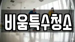 비움특수청소