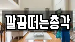 깔끔떠는총각