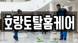 호랑토탈홈케어