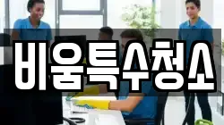 비움특수청소