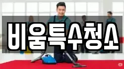비움특수청소