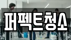 퍼펙트청소