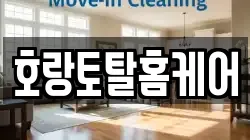 호랑토탈홈케어