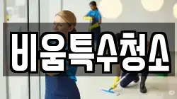 비움특수청소