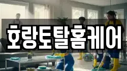 호랑토탈홈케어