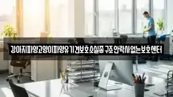 강아지파양고양이파양유기견보호소실종구조안락사없는보호센터