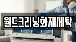 월드크리닝화재세탁