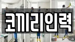 코끼리인력