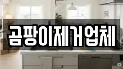 곰팡이제거업체