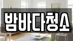 밤바다청소