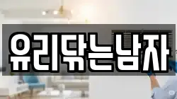 유리닦는남자