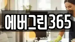 에버그린365