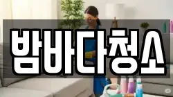 밤바다청소