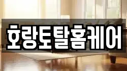 호랑토탈홈케어