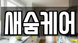 새숨케어
