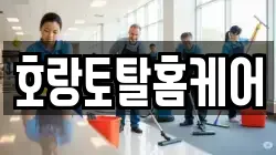 호랑토탈홈케어