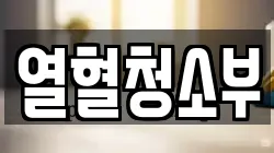 열혈청소부