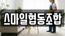 전라남도 영암군 시종면 청소,입주청소,사무실청소,에어컨청소,특수청소,상가청소,거주청소,유품정리