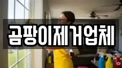 곰팡이제거업체