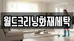 전라남도 완도군 고금면 청소,입주청소,사무실청소,에어컨청소,특수청소,상가청소,거주청소,유품정리