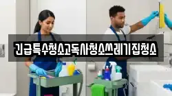 긴급특수청소고독사청소쓰레기집청소