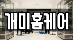 개미홈케어