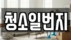청소일번지