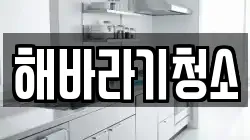 해바라기청소