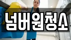 넘버원청소