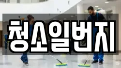 청소일번지
