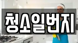 청소일번지