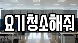요기청소해줘