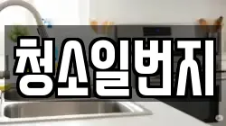 청소일번지