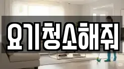요기청소해줘