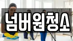 넘버원청소