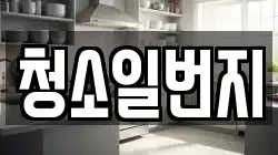 청소일번지