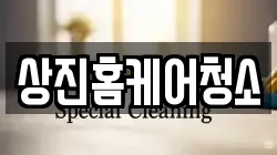 상진홈케어청소
