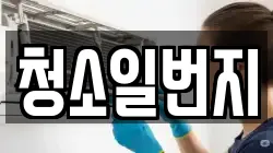 청소일번지