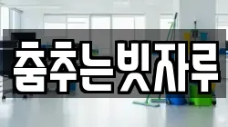 춤추는빗자루