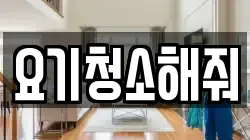요기청소해줘