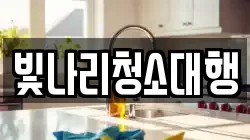 빛나리청소대행