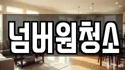 넘버원청소