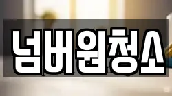 넘버원청소