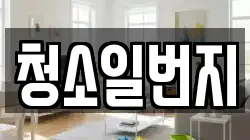 청소일번지