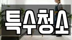 특수청소