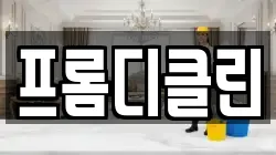 프롬디클린