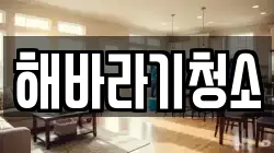해바라기청소