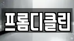 프롬디클린