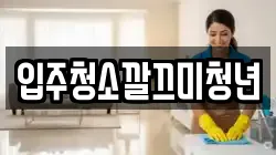입주청소깔끄미청년